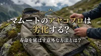 マムートのアヤコプロは劣化する？寿命を延ばす意外な方法とは