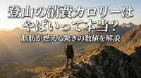 登山の消費カロリーはやばいって本当？脂肪燃焼を最大化する消費カロリーの正体