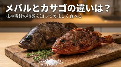 メバルとカサゴの違いは？どっちが美味しい？味や毒針の特徴を知って美味しく料理