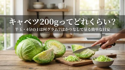 キャベツ200gってどれくらい？半玉・4分の1は何グラム？はかりなしで分かる簡単な目安